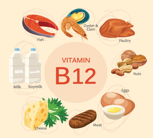 vitamin B12 Food